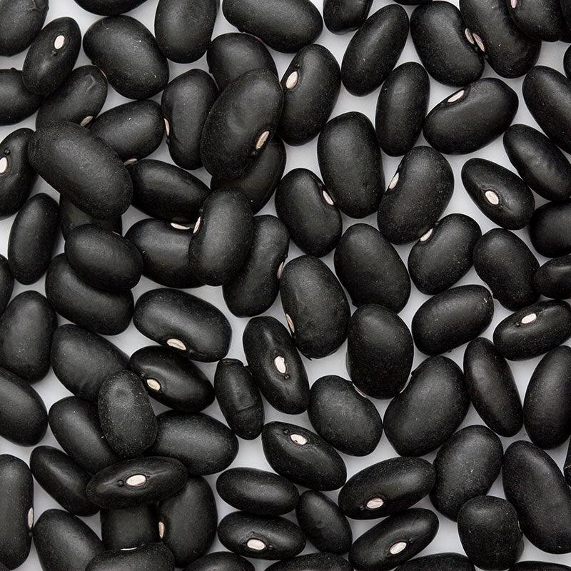 Black Turtle Bush Bean Seeds (Organic) Peaceful Valley