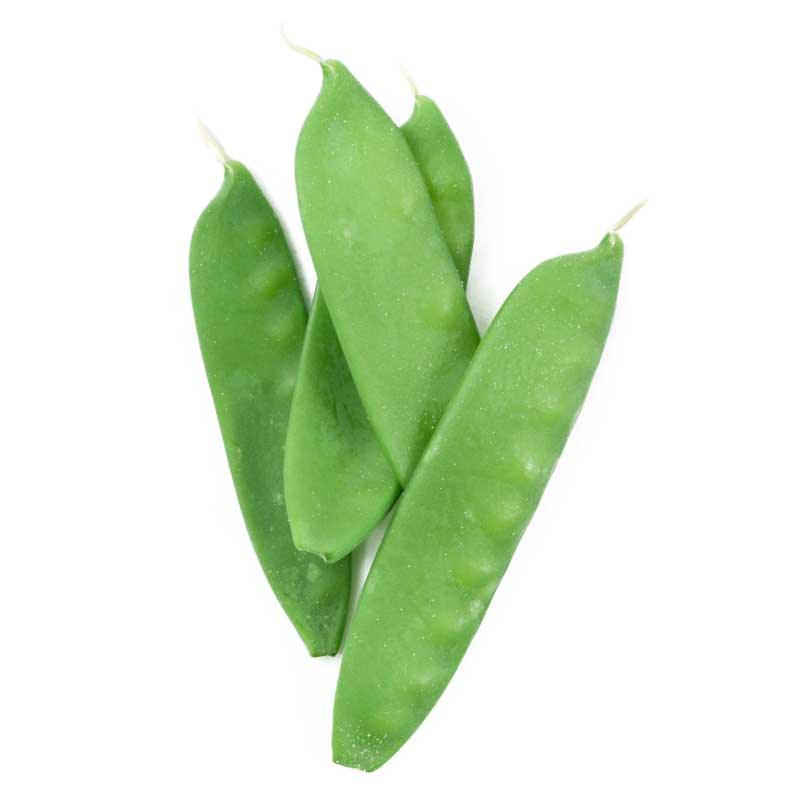 Oregon Sugar Pod Pea Seeds (Organic) Peaceful Valley