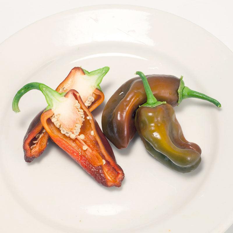 Chocolate Sweet Pepper Seeds (Organic) Peaceful Valley