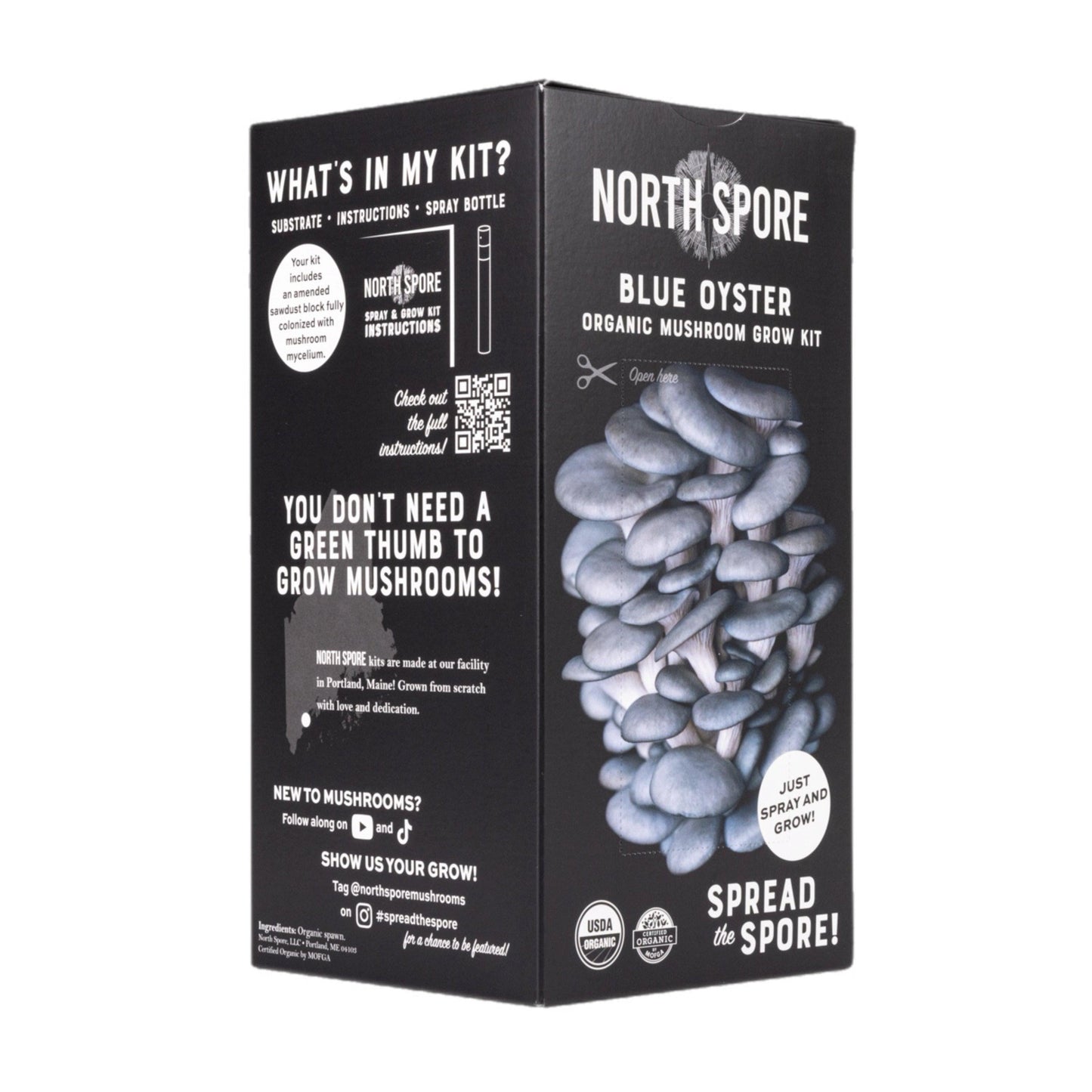 Organic Blue Oyster 'Spray & Grow' Mushroom Growing Kit North Spore