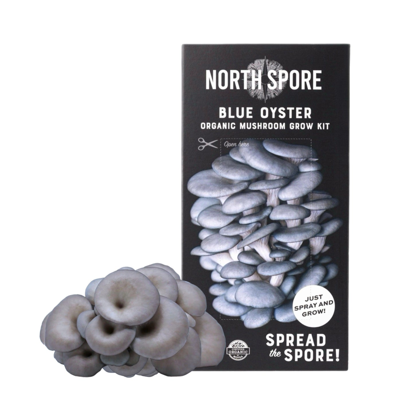Organic Blue Oyster 'Spray & Grow' Mushroom Growing Kit North Spore