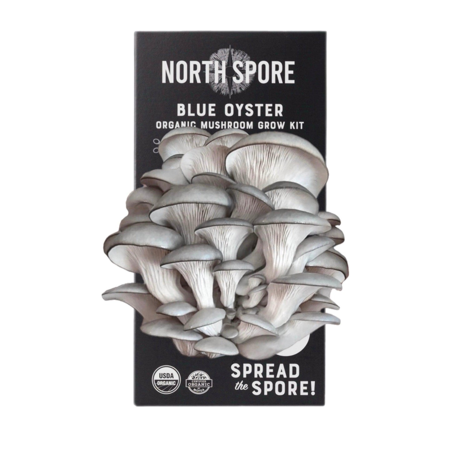 Organic Blue Oyster 'Spray & Grow' Mushroom Growing Kit North Spore