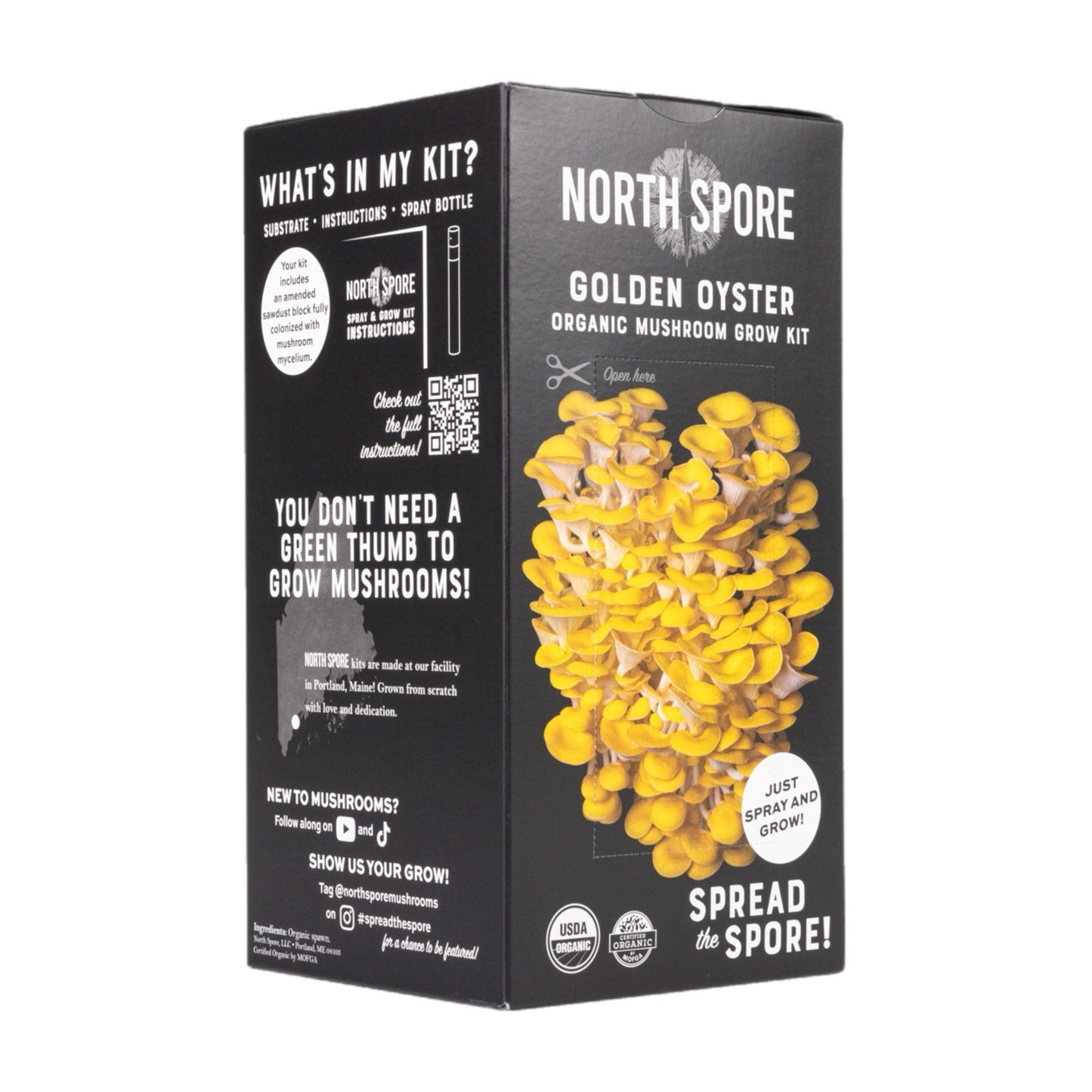 Organic Golden Oyster 'Spray & Grow' Mushroom Growing Kit North Spore
