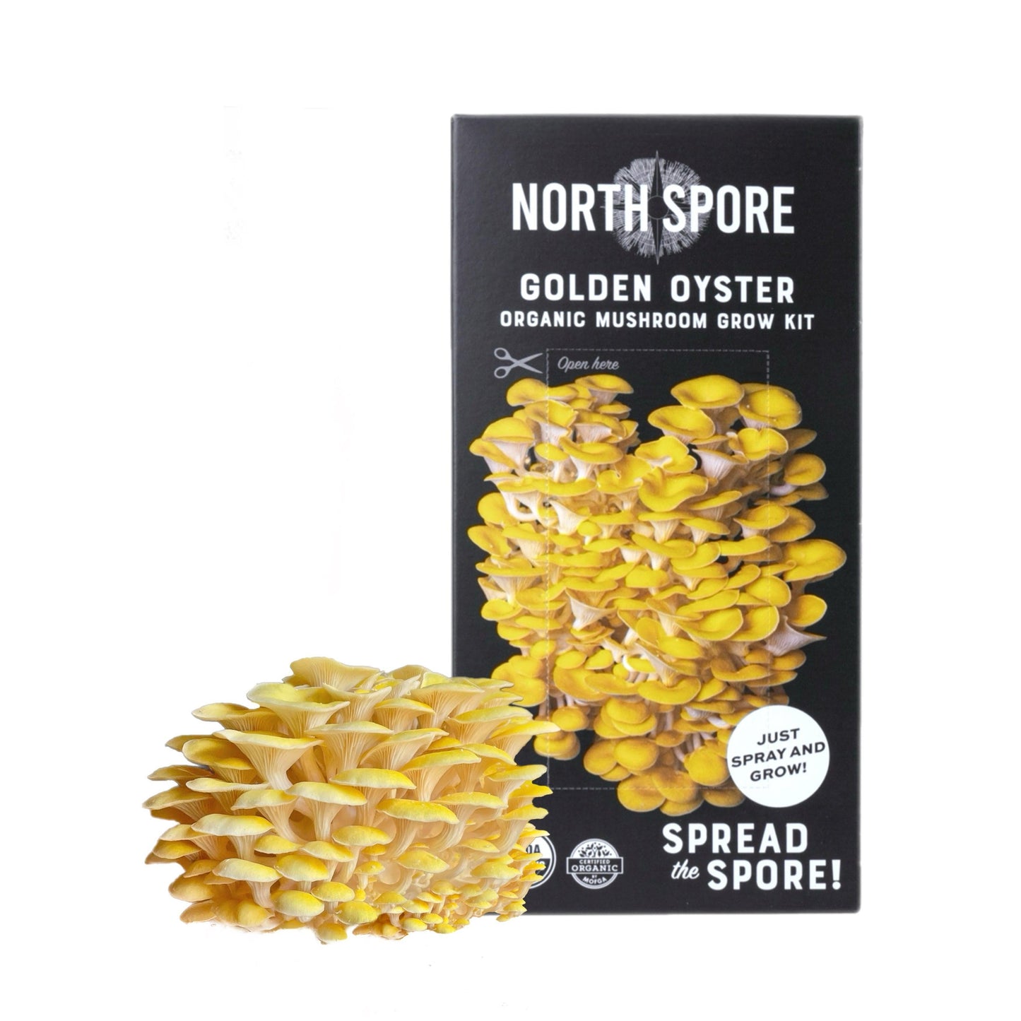 Organic Golden Oyster 'Spray & Grow' Mushroom Growing Kit North Spore