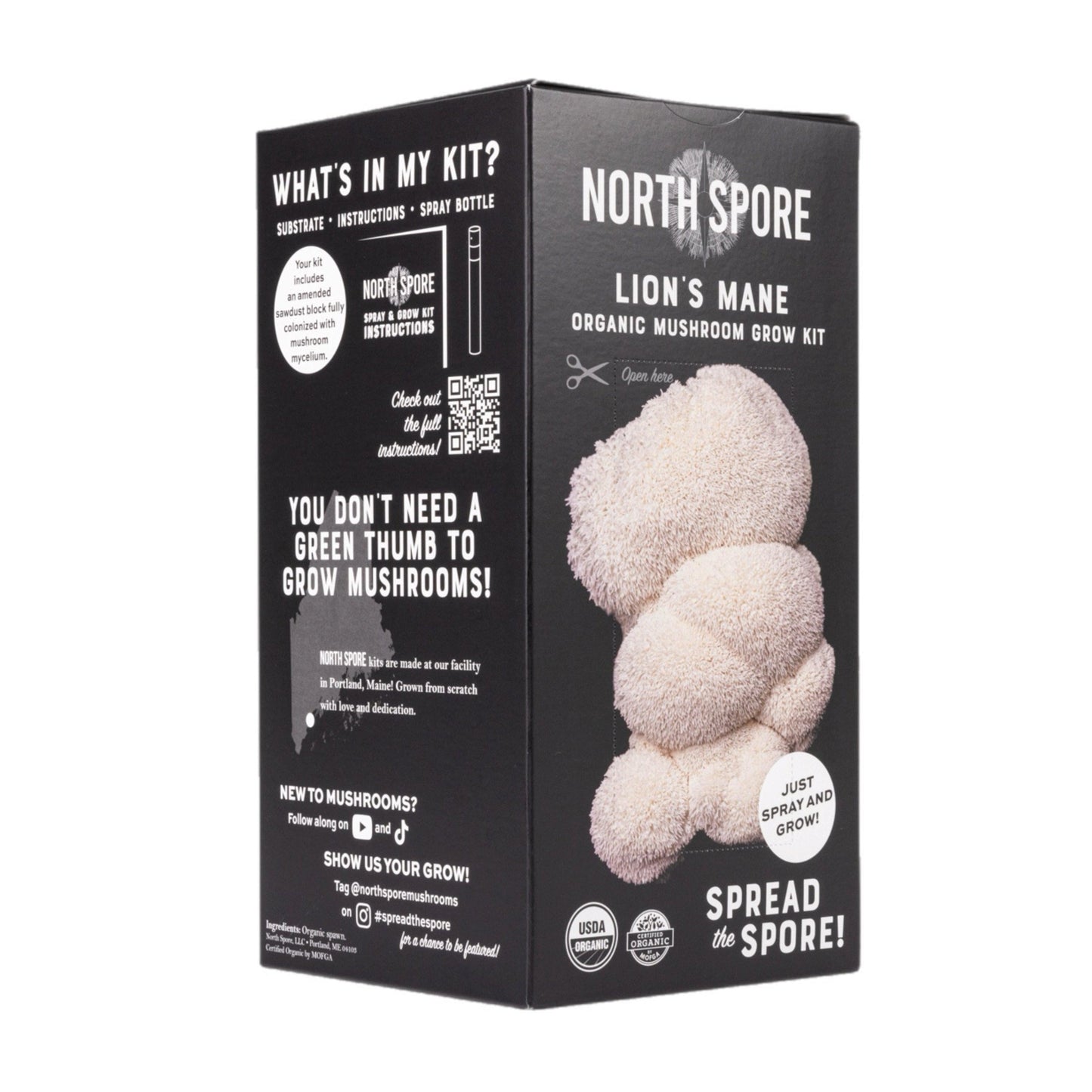 Organic Lion's Mane 'Spray & Grow' Mushroom Growing Kit North Spore
