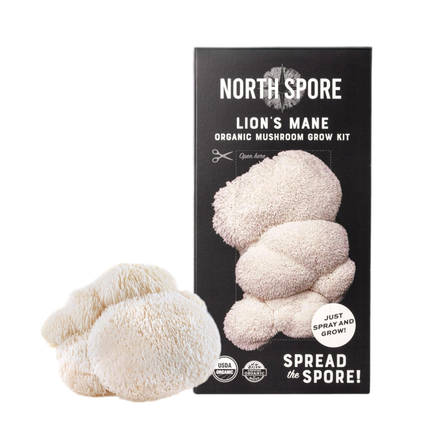 Organic Lion's Mane 'Spray & Grow' Mushroom Growing Kit North Spore