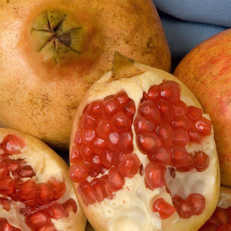Sweet Pomegranate Tree Grow Organic