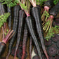 Black Nebula Carrot Seeds (Organic) - Grow Organic Black Nebula Carrot Seeds (Organic) Vegetable Seeds