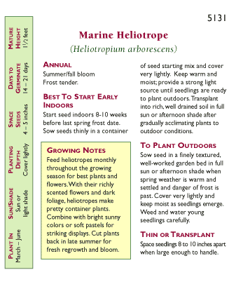 Renee's Garden Heliotrope Deep Marine - Grow Organic Renee's Garden Heliotrope Deep Marine Flower Seed & Bulbs