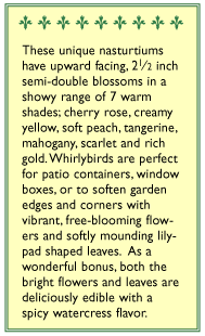 Whirlybird Rainbow Nasturtium Flower Seed Mix Renee's Garden