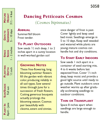 Renee's Garden Specialty Cosmos Dancing Petticoats Heirloom Renee's Garden Specialty Cosmos Dancing Petticoats (Heirloom) Flower Seed & Bulbs