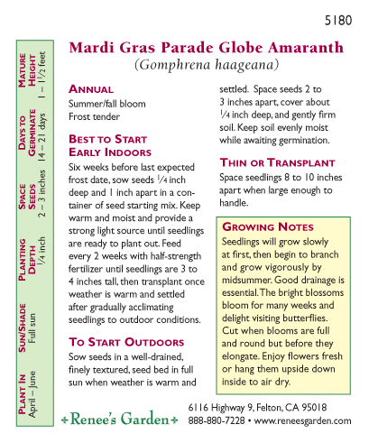 OUT Renee's Garden Globe Amaranth Mardi Gras Parade Heirloom Renee's Garden Globe Amaranth Mardi Gras Parade (Heirloom) Flower Seed & Bulbs