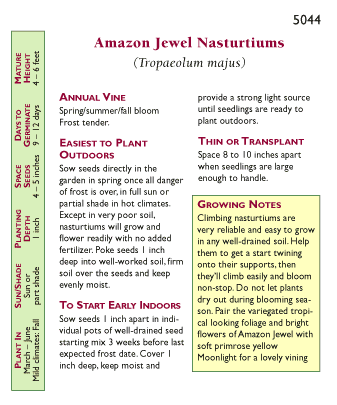 Amazon Jewel Climbing Nasturtium Flower Seeds Renee's Garden