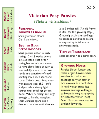 Victorian Posy Pansy Flower Seeds Renee's Garden