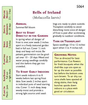 Apple Green Antique Bells Of Ireland Flower Seeds Renee's Garden