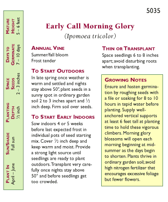 Early Call Morning Glory Flower Seeds Renee's Garden