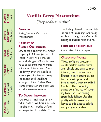 Vanilla Berry Hummingbird Nasturtium Flower Seeds Renee's Garden