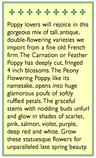 French Flounce Carnation Poppy Flower Seeds Renee's Garden