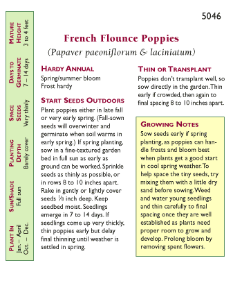 French Flounce Carnation Poppy Flower Seeds Renee's Garden