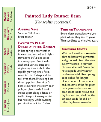 Painted Lady Flower Runner Bean Seeds Renee's Garden