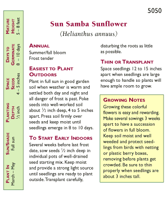 Sun Samba Ornamental Sunflower Flower Seeds Renee's Garden