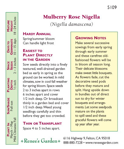 Mulberry Rose Love In A Mist Nigella Flower Seeds Renee's Garden