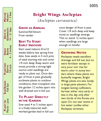 Renee's Garden Asclepias Butterfly Milkweed Bright Wings Renee's Garden Asclepias Butterfly Milkweed Bright Wings Flower Seed & Bulbs