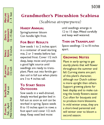 Renee's Garden Scabiosa Butterfly Grandma's Pincushion Renee's Garden Scabiosa Butterfly Grandma's Pincushion (Heirloom) Flower Seed & Bulbs