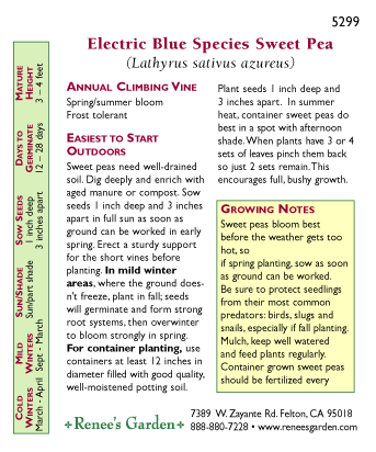 Renee's Garden Sweet Pea Electric Blue - Grow Organic Renee's Garden Sweet Pea Electric Blue Flower Seed & Bulbs