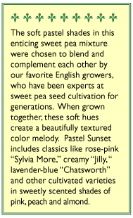 Pastel Sunset Sweet Pea Flower Seeds Renee's Garden