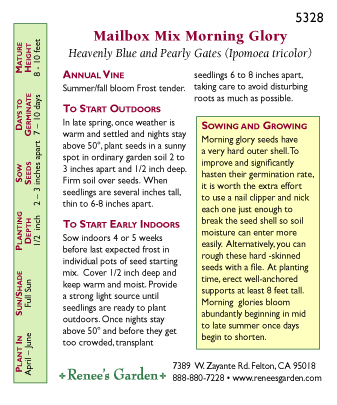 Renee's Garden Morning Glory Mailbox Mix (Heirloom) Renee's Garden Morning Glory Mailbox Mix (Heirloom) Flower Seed & Bulbs
