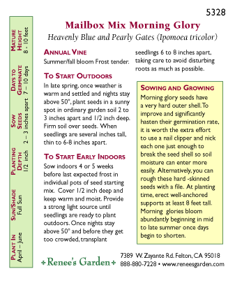 Mailbox Morning Glory Flower Seed Mix Renee's Garden