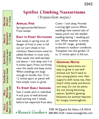 Spitfire Climbing Nasturtium Flower Seeds Renee's Garden
