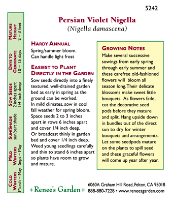 Persian Violet Love In A Mist Nigella Flower Seeds Renee's Garden