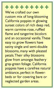 Renee's Garden Poppy California Tropical Sunset Renee's Garden Poppy California Tropical Sunset Flower Seed & Bulbs