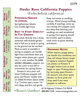 Dusky Rose California Poppy Flower Seeds Renee's Garden