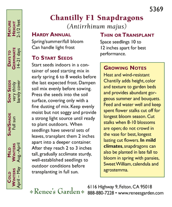 Chantilly Butterfly Snapdragon Flower Seeds Renee's Garden