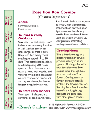 Rose Bon Bon Double Cosmos Flower Seeds Renee's Garden