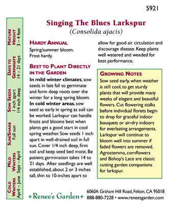 Renee's Garden Larkspur Bouquet Singing the Blues Renee's Garden Larkspur Bouquet Singing the Blues Flower Seed & Bulbs
