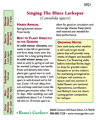 Singing the Blues Bouquet Larkspur Flower Seeds Renee's Garden