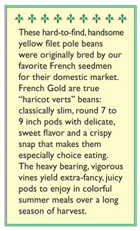French Gold Filet Pole Bean Seeds Renee's Garden