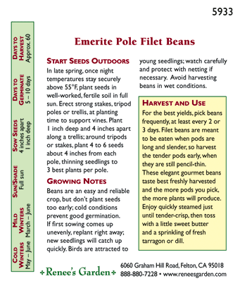 Emerite Filet Pole Bean Seeds Renee's Garden