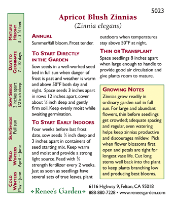 Apricot Blush Cutting Zinnia Flower Seeds Renee's Garden