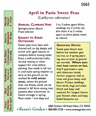 Renee's Garden Sweet Pea April in Paris - Grow Organic Renee's Garden Sweet Pea April in Paris Flower Seed & Bulbs