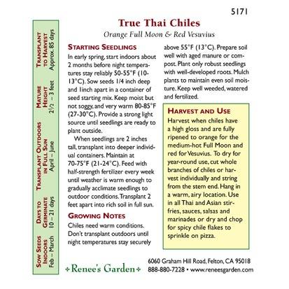 Thai Duo Orange Full Moon & Red Vesuvius Chile Pepper Seeds Renee's Garden