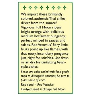 Thai Duo Orange Full Moon & Red Vesuvius Chile Pepper Seeds Renee's Garden