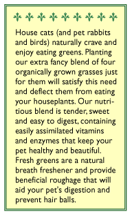 Cat Treats Gourmet Greens Seed Mix Renee's Garden