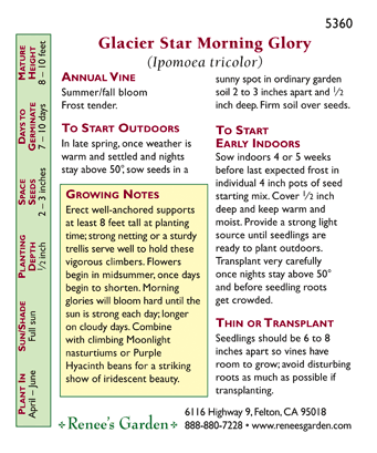 Glacier Star Morning Glory Flower Seeds Renee's Garden