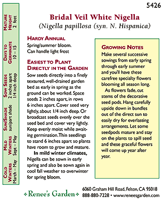 Bridal Veil White Nigella Flower Seeds Renee's Garden