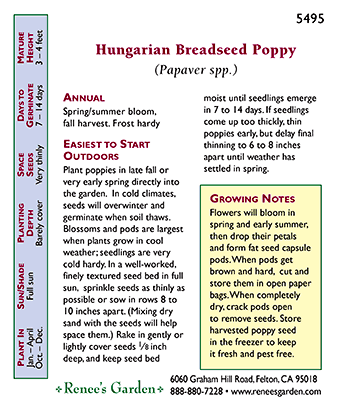 Hungarian Breadseed Poppy Seeds Renee's Garden
